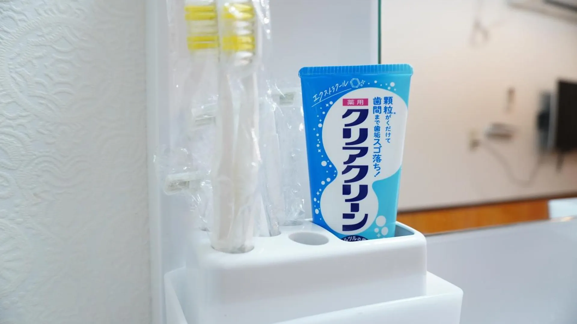 Apartment 禪居 Zen House B 日本整棟公寓 Osaka Japan